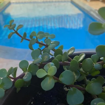 2 Bedroom With Private Pool Holiday home *
